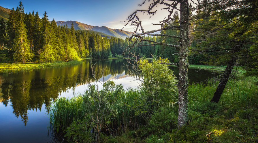 Vrbické pleso